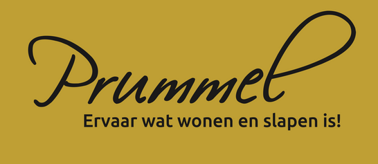 Logo_Prummel Meubelen