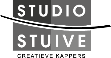 Logo_Studio Stuive